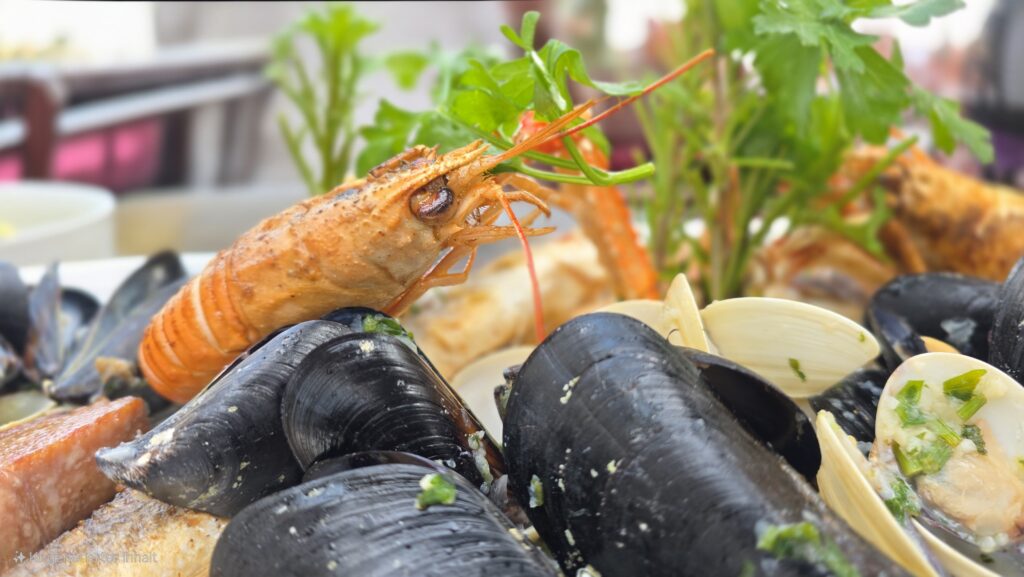 muscheln und shrimps
